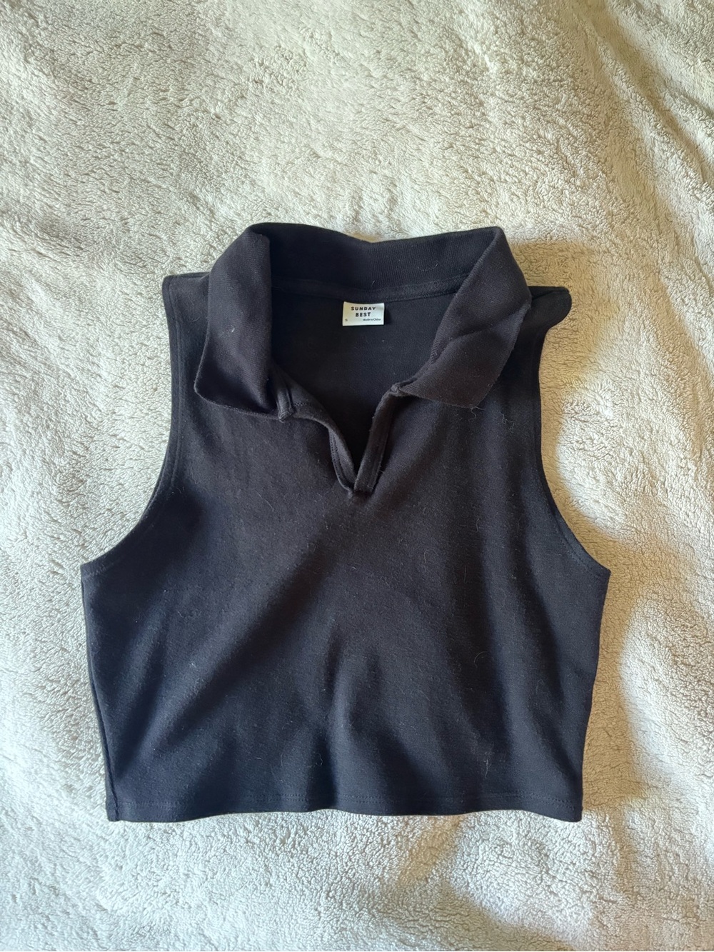 Sleeveless Aritzia Polo Crop Top in Black